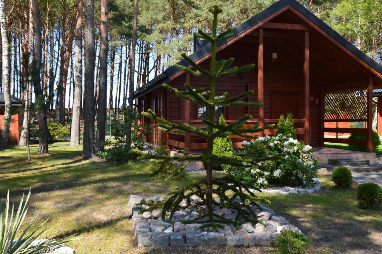 Domki Pod Wydmami 40M Od Plazy Dźwirzyno Dış mekan fotoğraf